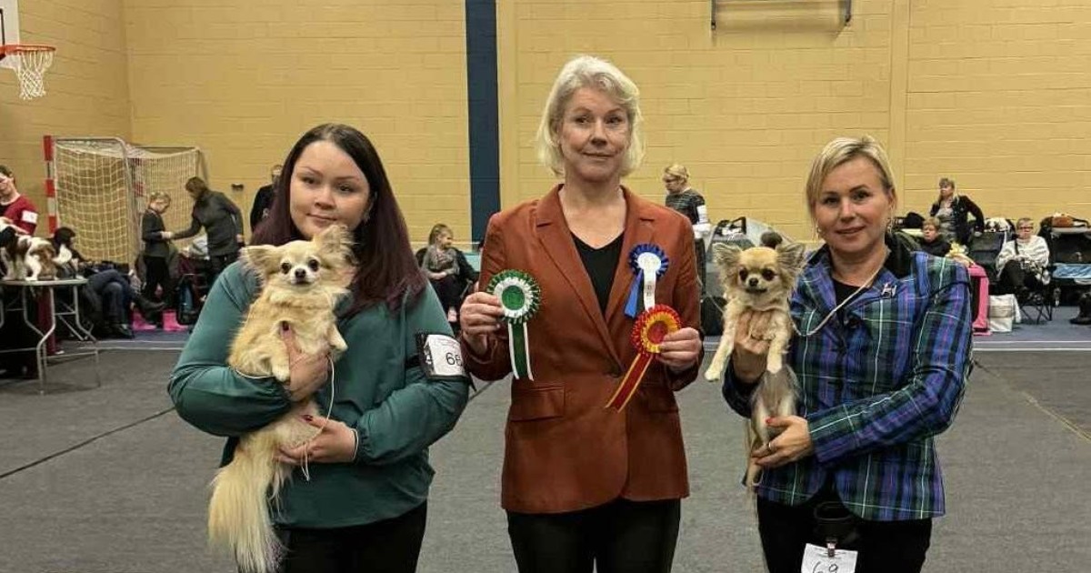 Triangel Joy Bravery and Smiling Wizard Shine at Pisisaare Group Shows